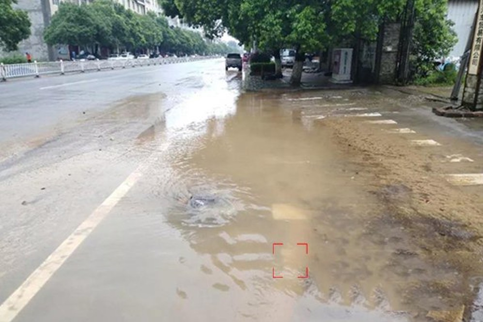 城市道路积水识别